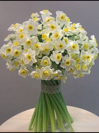 Букет из 51 нарцисса