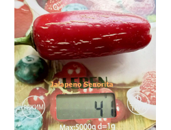 Перец острый Халапеньо Сеньорита (Jalapeno Senorita)