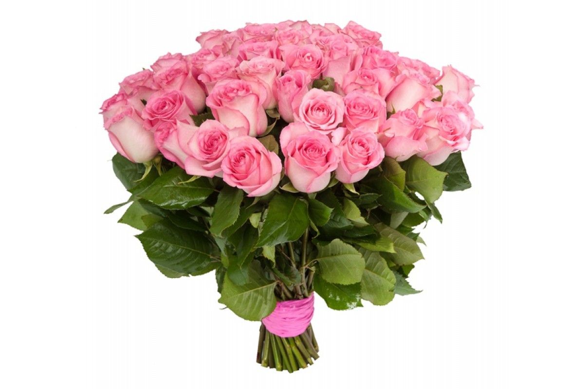 ������ ����� ������� ���