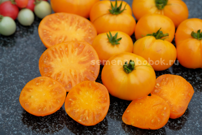 Томат Dwarf Loxton Lad (Гном Парень из Локстона), 10 шт