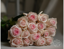 Роза Свит Ревайвл