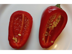 Перец острый  Black Maroccan Jalapeno