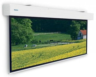 Projecta Elpro Large Electrol 16:9 400x229 (390x219) MW