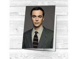 Обложка на паспорт Теория большого взрыва, The Big Bang Theory №9