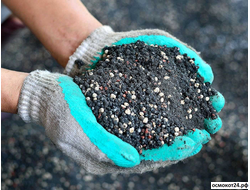 Биоудобрения