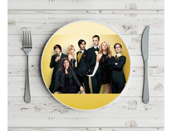 Тарелка Теория большого взрыва, The Big Bang Theory №20