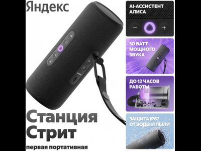 Яндекс Станция Стрит Черная