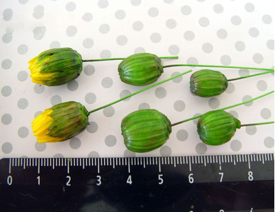 Набор молдов, вайнеров и каттеров "Одуванчик"