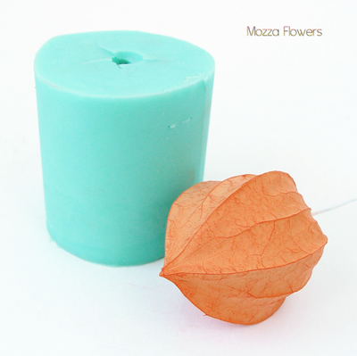 "Большой физалис" силиконовый молд