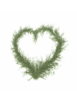 вьющиеся Вьюн сердце