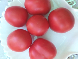 Томат Де Барао королевский (розовый)