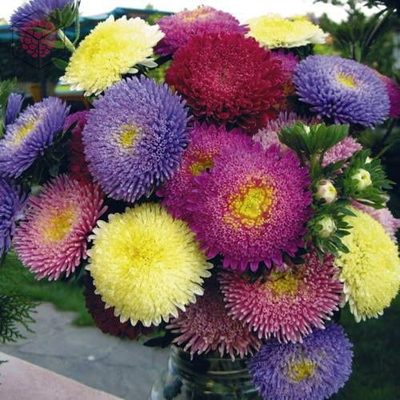 Набор молдов, вайнеров и каттеров "Астра"