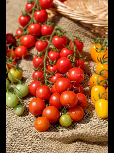 Томат-черри  Красная Вишня, 10 шт