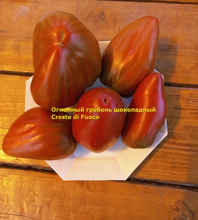 Томат Огненный гребень (Cresta di Fuoco) шоколадный, Италия