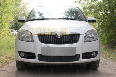 Защита радиатора Skoda Fabia 2 2007-2010 black