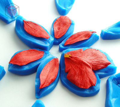 "Орхидея Камбрия" набор вайнеров и каттеров