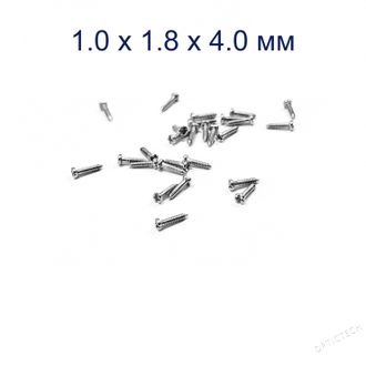 Винт М1.0*1.8*4.0 мм для носовых упоров серебро (100шт)