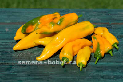 Перец  Самсон, 10 шт