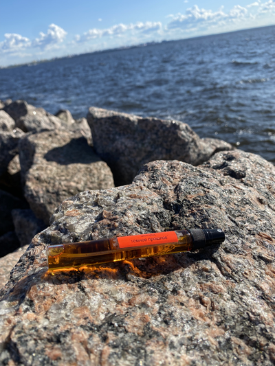 Духи АККОРД: ТЁМНОЕ ПРОШЛОЕ 10 мл