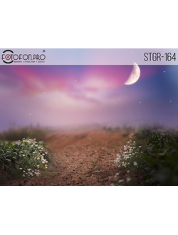 Фотофон на холсте «Нежная ночь»