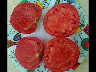 Томат Большой Серж (Grosse Serge)