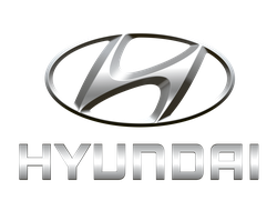 Ковры салона Hyundai