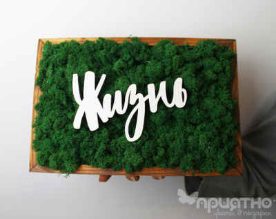 ЖИВАЯ ЭКО-КАРТИНА 1051