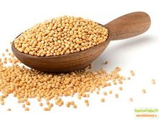 Семена желтой горчицы, производство Индии, 50 грамм (Mustard Yellow Seeds, INDIA) 50 gm