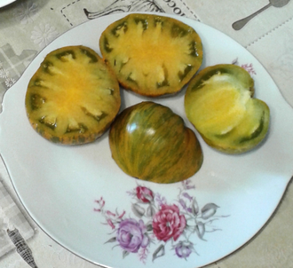 Семена томата Золта зебра