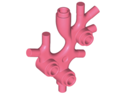 Plant Thallus / Seaweed / Coral, Coral (49577 / 6292823)