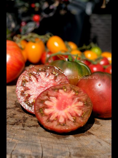 Томат Brandywine Black (Брендивайн Черный)