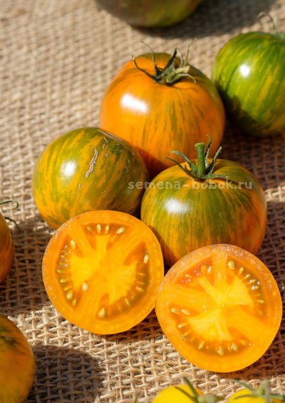 Томат Dwarf Jeremy's Stripes (Гном Джереми Полосатый), 10 шт