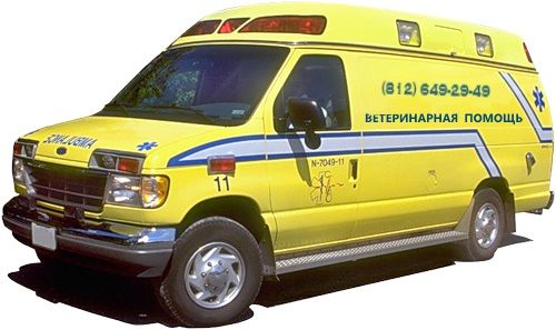 Ветеринарная служба автомобиль