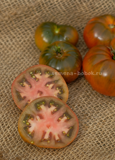 Томат Dwarf Chocolate Champion (Гном Шоколадный Чемпион), 10 шт