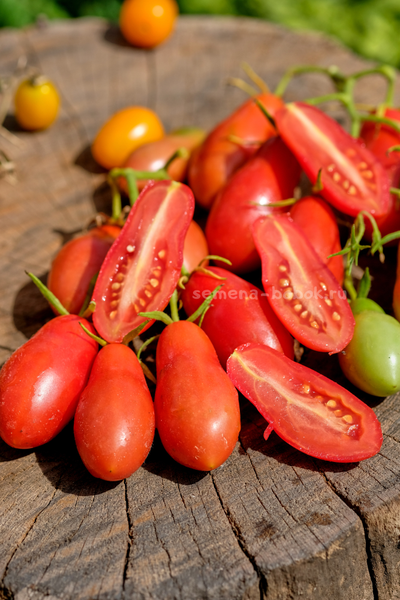 Томат Покоритель Неба (Himmelsturmer), 10 шт