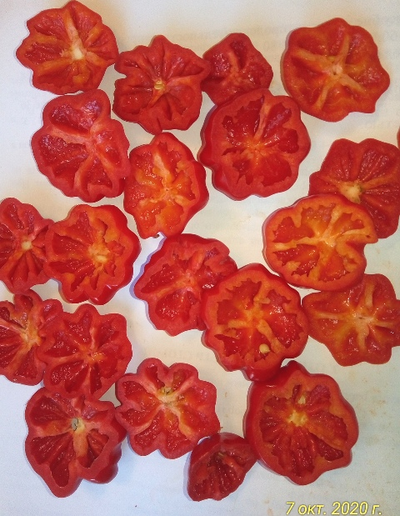 Перец острый Бразильская морская звезда (Red Brazilian Starfish)