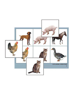 Лото "Домашние животные" (4 планшета, 24 карт., цвет., ламинир.)