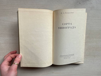 Сорта винограда. М.А. Лазаревский