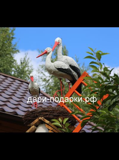 Аисты в гнезде Парочка ( Аист-70см, аист-72см ) полистоун Аист - является символом новой жизни. Согласно русским народным поверьям, аист - птица, приносящая счастье в Ваш дом. Также аист покровительствует рождению детей.