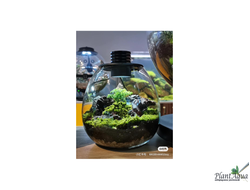 Биобутылка Biolark LED PD 210 (215мм х 240мм)