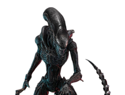 ПРЕДЗАКАЗ - Чужой (Ромул) - Коллекционная ФИГУРКА 1/6 Scorched Xenomorph Alien: Romulus (MMS784) - Hot toys ?ЦЕНА: 48600 РУБ.?