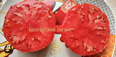 Томат Болгарский гигант (Bulgarian giant)