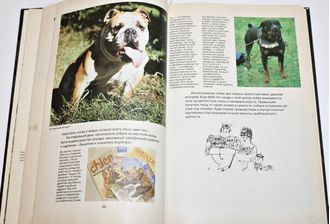 Корнеев Л. Слово о собаке. М.: Мысль. 1989г.