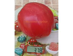 Томат Мамино сердце (Mom’s Heart) Румыния
