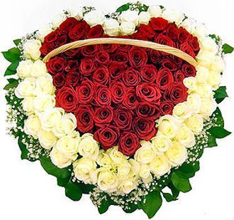 "Красное сердце" из 101 красно-белой розы в корзине