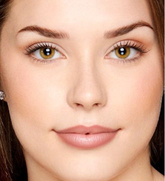 Карандаш для губ NYX Slim Lip Pencil 31 Mauve