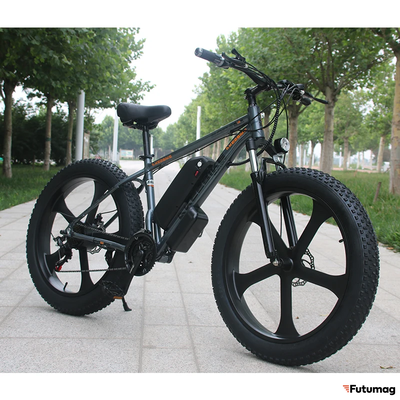 Электровелосипед AKEZ Hongze Snow 48V13Ah (спицы) серый