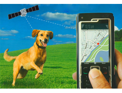 GPS ТРЕКЕРЫ