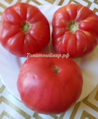 Томат Настоящий Бельмонте из Калабрии (Belmonte vero Calabro, Italy)