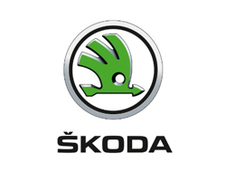 Переходные рамки Skoda